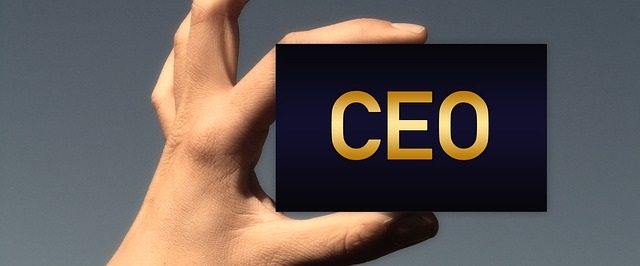CEO; CFO; headhunting, rekruttering